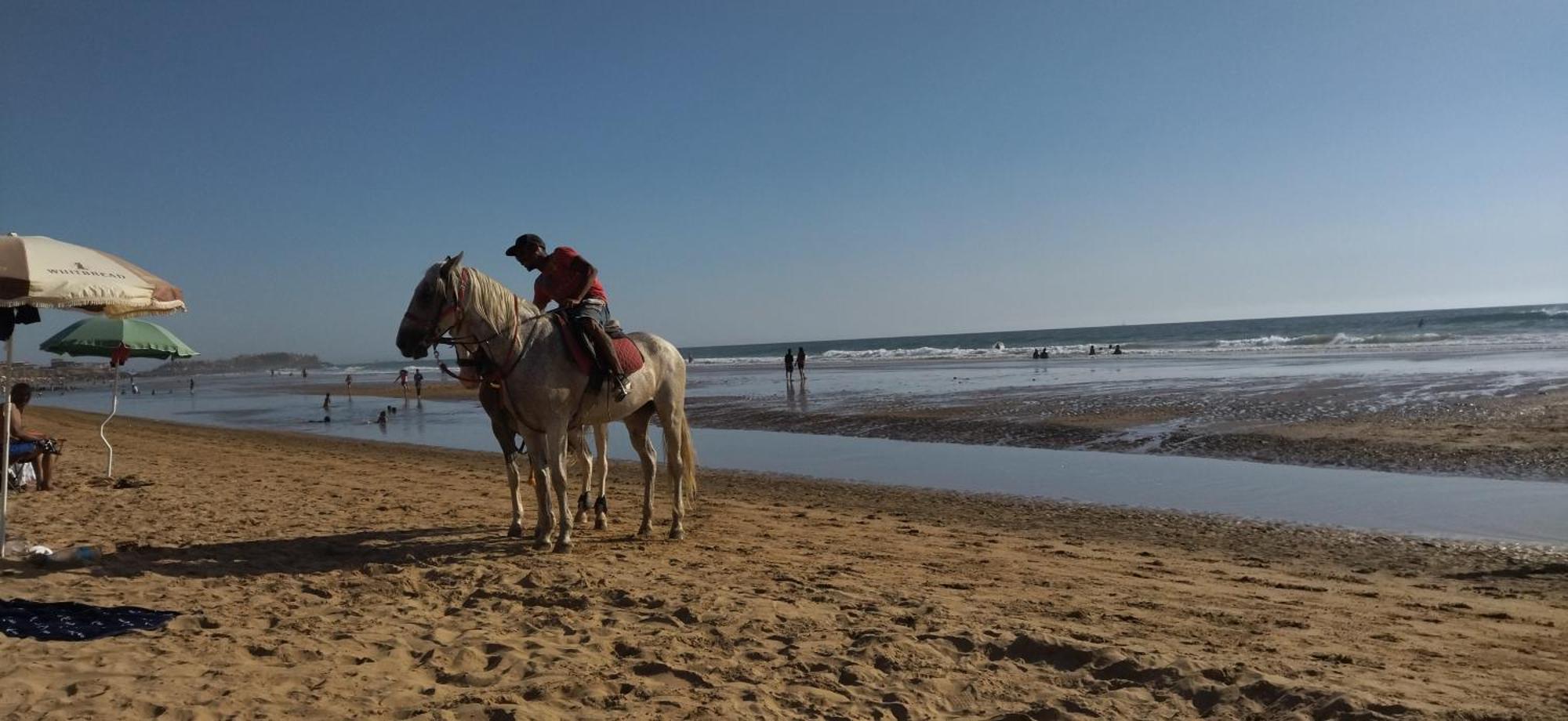 Appart Oubaha Tamrakht Taghazout Agadir Rom bilde
